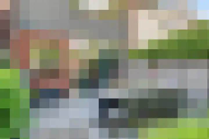 Koffiebos 11 Halsteren thumbnail 33