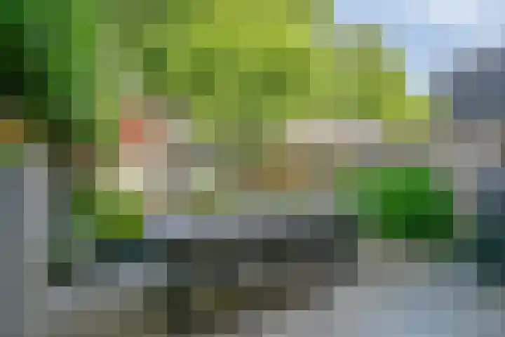 Koffiebos 11 Halsteren thumbnail 35