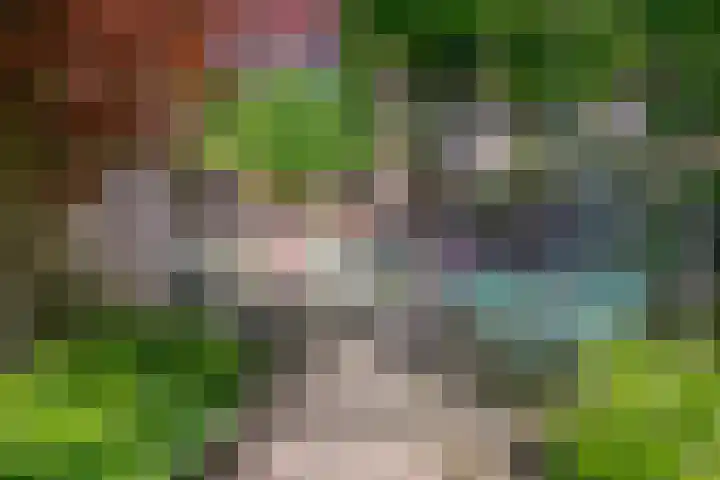 Koffiebos 11 Halsteren thumbnail 37