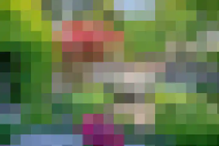 Koffiebos 11 Halsteren thumbnail 38
