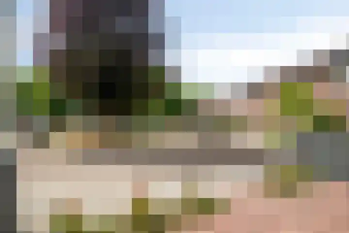 Koffiebos 11 Halsteren thumbnail 40