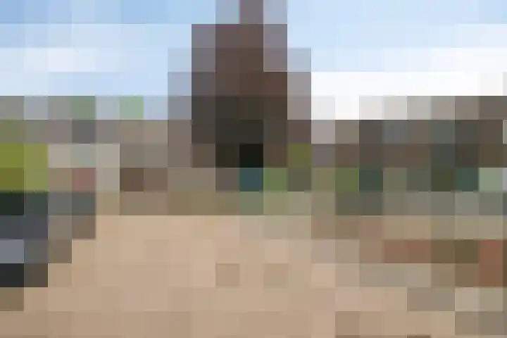 Koffiebos 11 Halsteren thumbnail 41