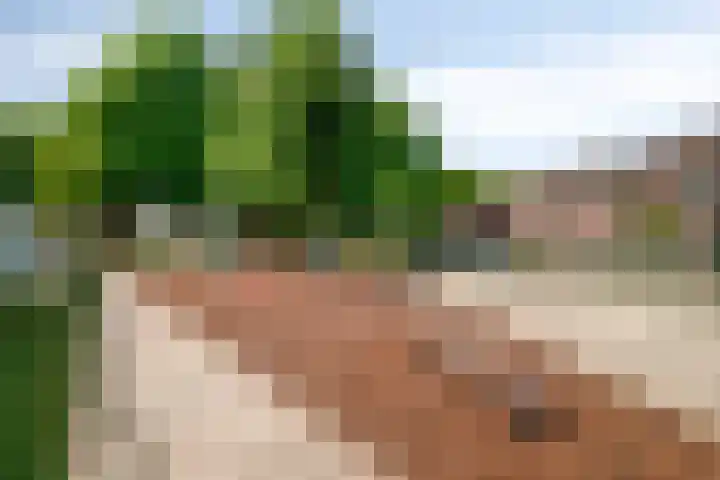 Koffiebos 11 Halsteren thumbnail 42