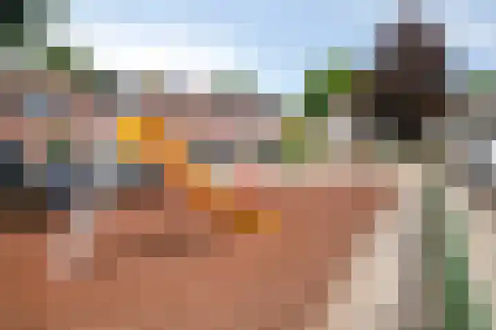 Koffiebos 11 Halsteren thumbnail 43