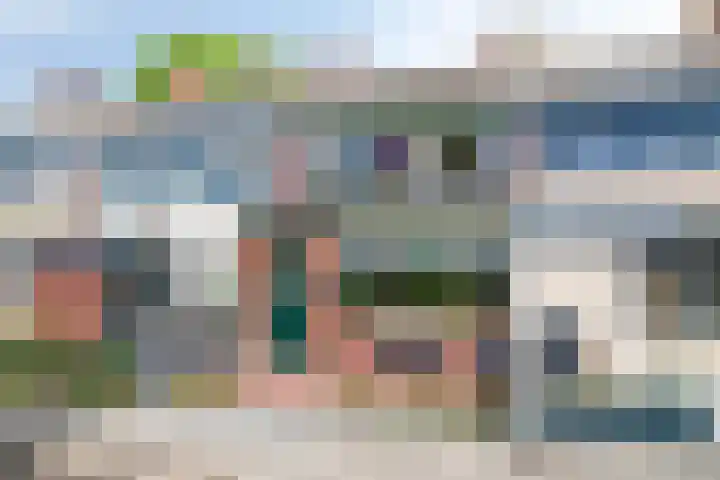 Koffiebos 11 Halsteren thumbnail 47