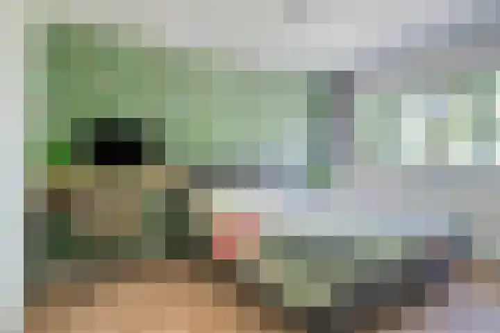 Koffiebos 11 Halsteren thumbnail 5