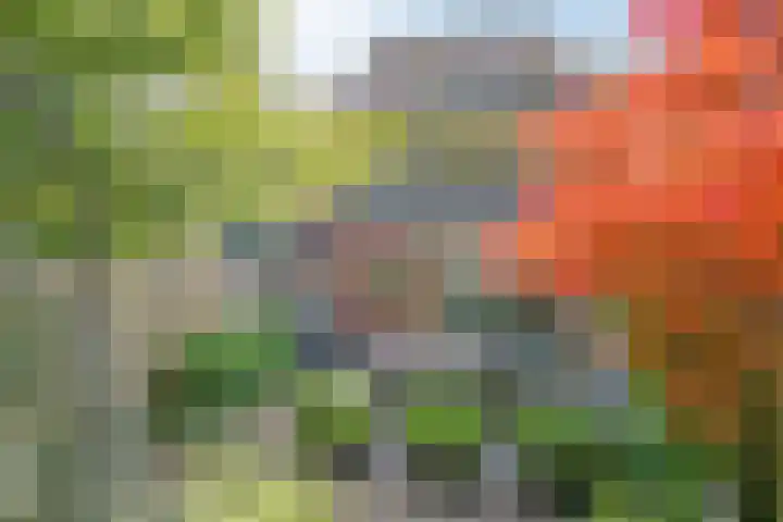 Koffiebos 11 Halsteren thumbnail 6