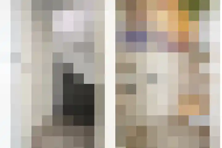 Koffiebos 11 Halsteren thumbnail 7