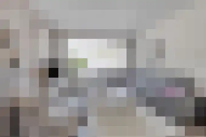 Koffiebos 3 Halsteren thumbnail 10