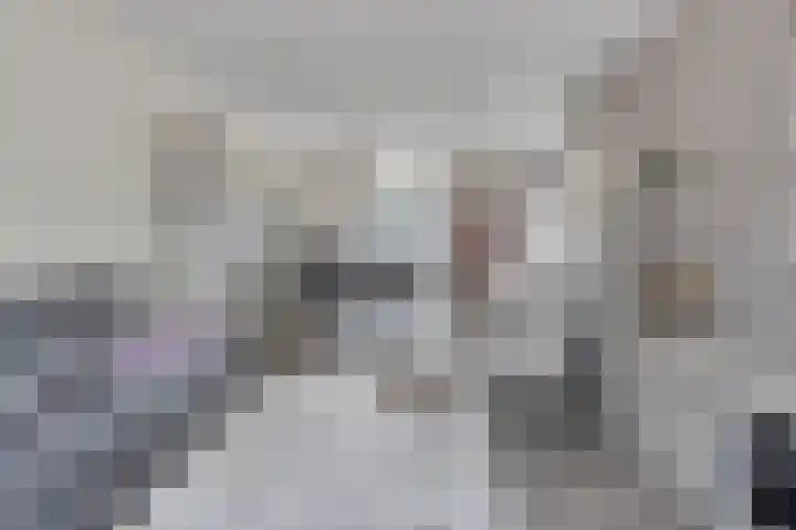 Koffiebos 3 Halsteren thumbnail 11