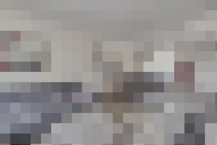 Koffiebos 3 Halsteren thumbnail 12