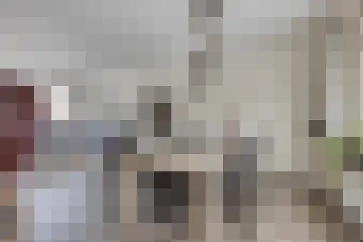 Koffiebos 3 Halsteren thumbnail 13