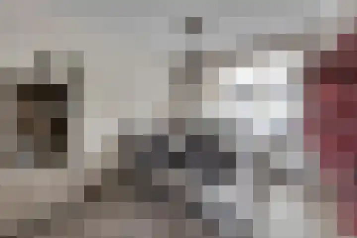 Koffiebos 3 Halsteren thumbnail 15