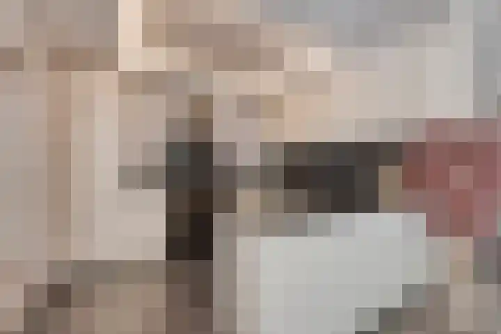 Koffiebos 3 Halsteren thumbnail 17