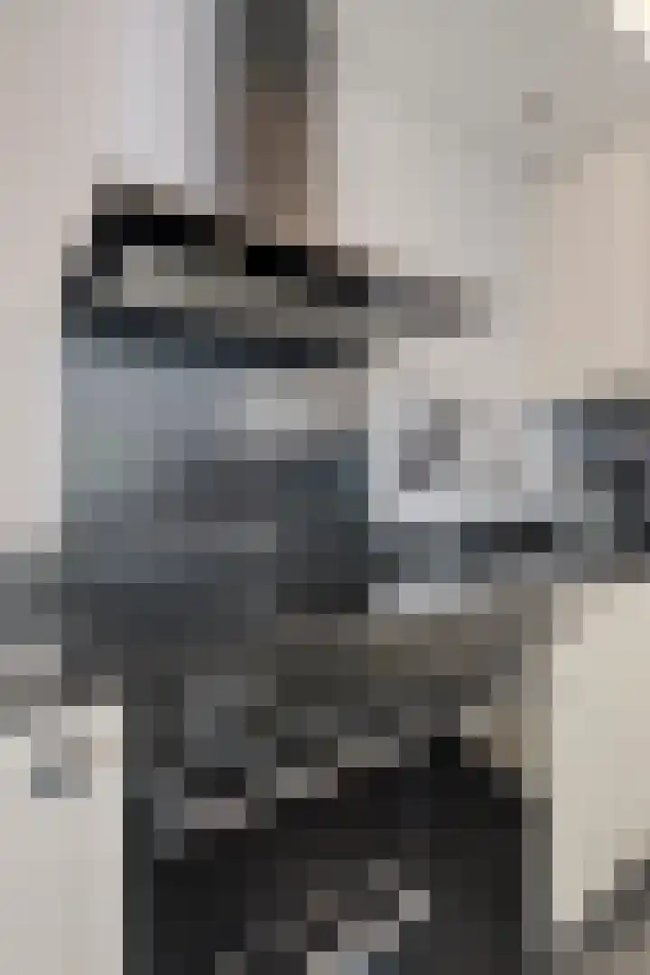 Koffiebos 3 Halsteren thumbnail 18