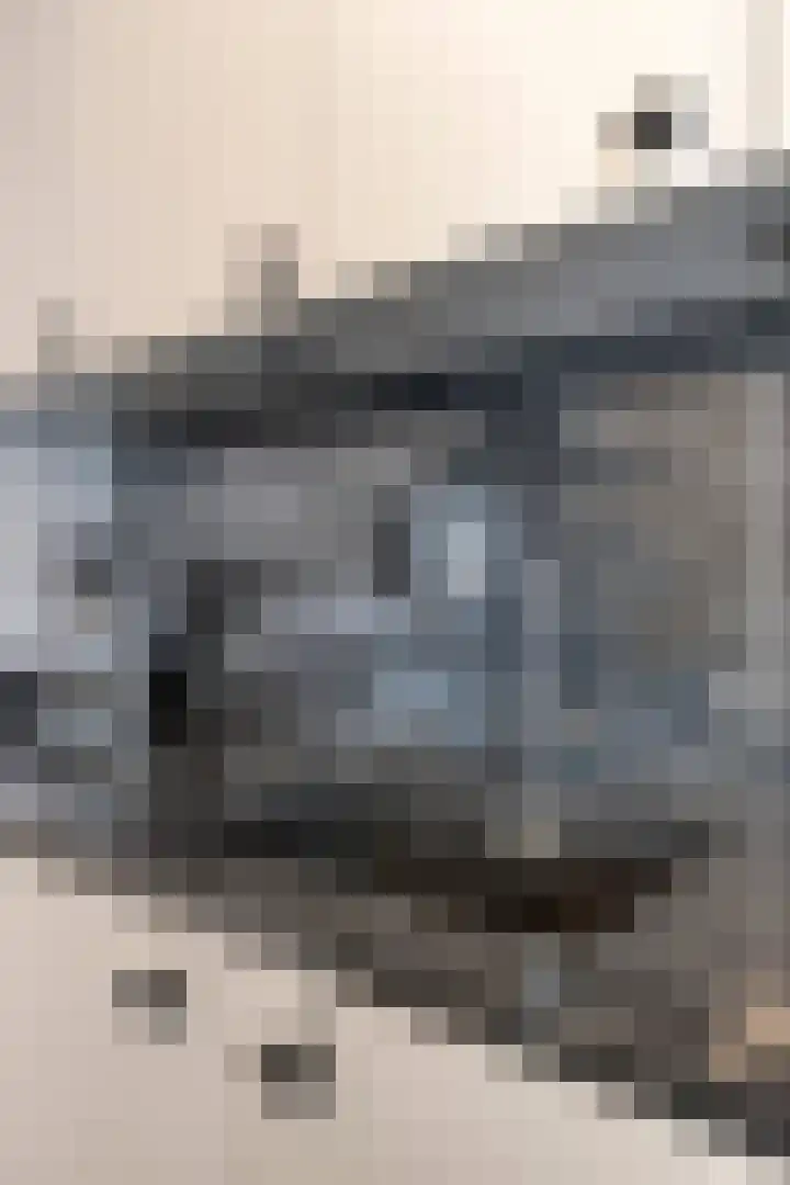 Koffiebos 3 Halsteren thumbnail 19