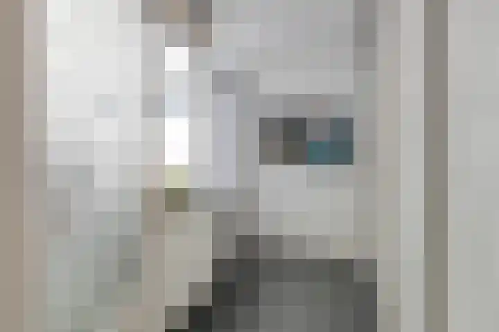 Koffiebos 3 Halsteren thumbnail 20