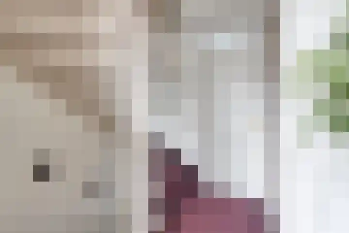 Koffiebos 3 Halsteren thumbnail 24