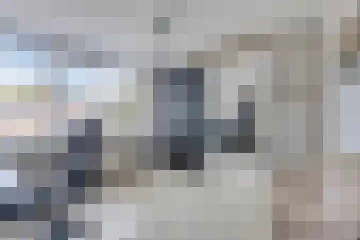 Koffiebos 3 Halsteren thumbnail 28