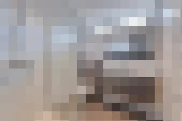 Koffiebos 3 Halsteren thumbnail 29