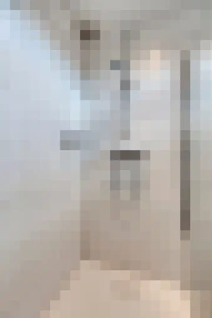 Koffiebos 3 Halsteren thumbnail 30