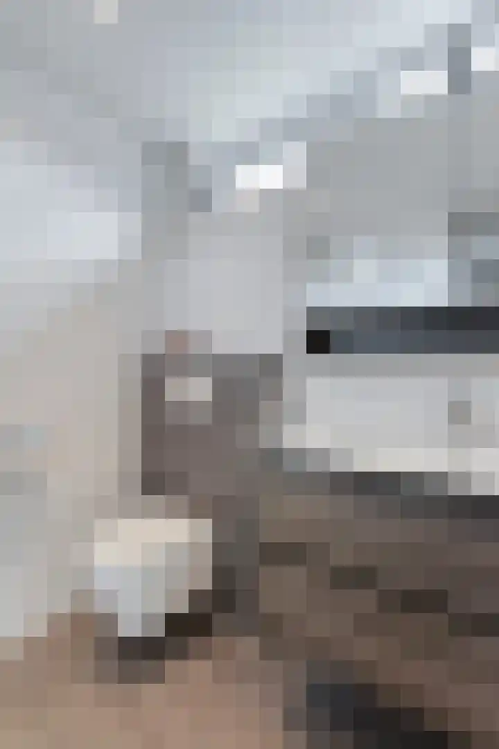 Koffiebos 3 Halsteren thumbnail 31