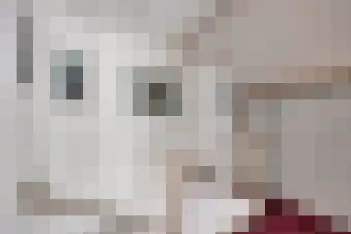 Koffiebos 3 Halsteren thumbnail 32