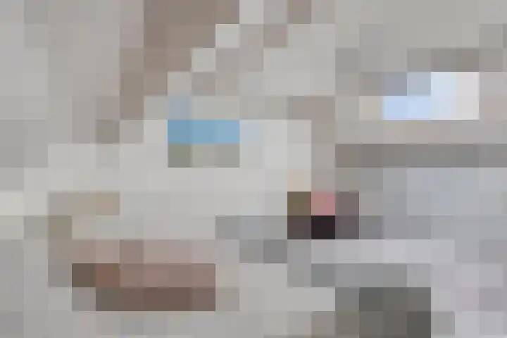 Koffiebos 3 Halsteren thumbnail 35