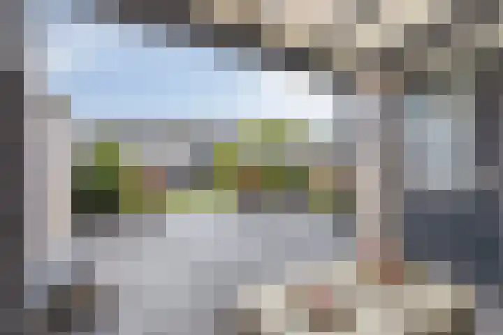 Koffiebos 3 Halsteren thumbnail 36
