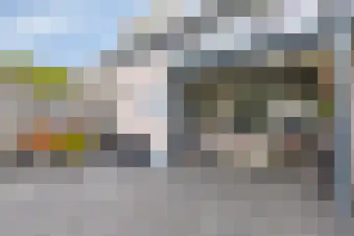 Koffiebos 3 Halsteren thumbnail 37