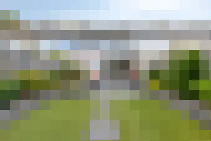 Koffiebos 3 Halsteren thumbnail 39
