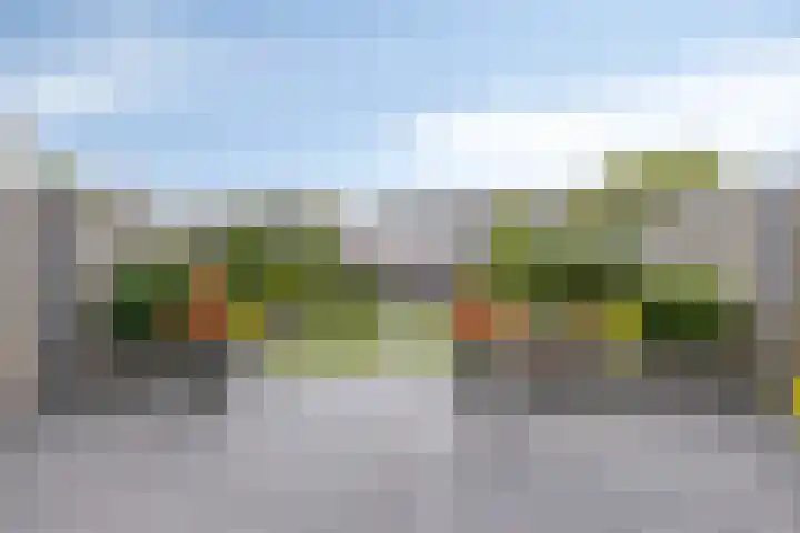 Koffiebos 3 Halsteren thumbnail 40