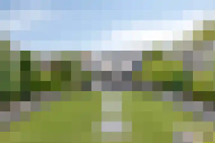 Koffiebos 3 Halsteren thumbnail 41