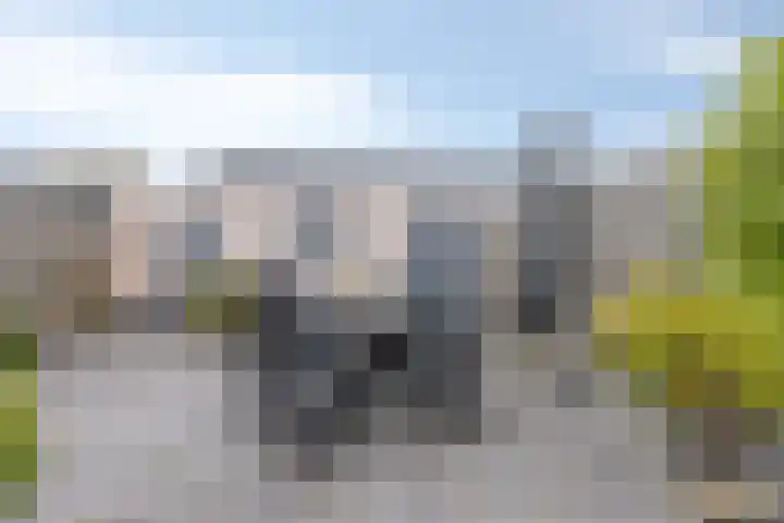Koffiebos 3 Halsteren thumbnail 42