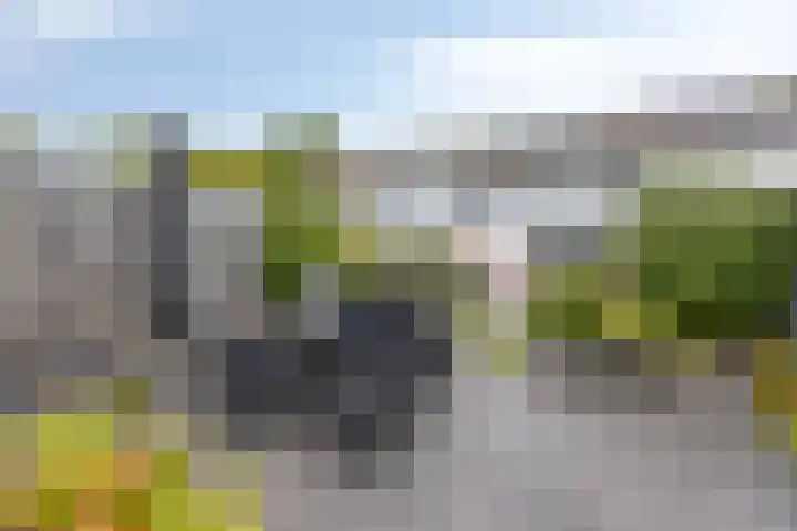Koffiebos 3 Halsteren thumbnail 43