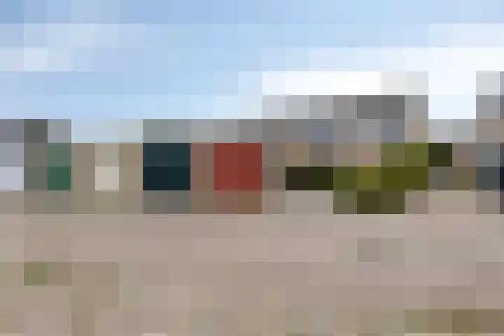 Koffiebos 3 Halsteren thumbnail 45