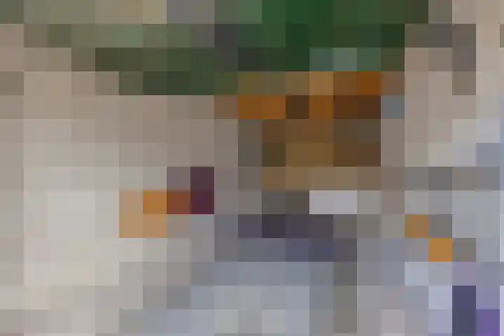 Koffiebos 3 Halsteren thumbnail 46