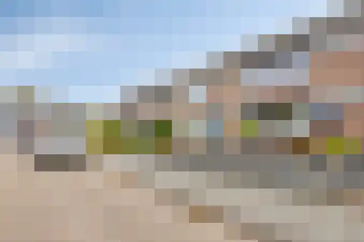 Koffiebos 3 Halsteren thumbnail 47