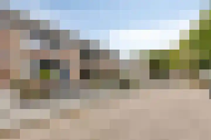 Koffiebos 3 Halsteren thumbnail 48