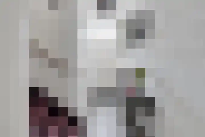 Koffiebos 3 Halsteren thumbnail 6