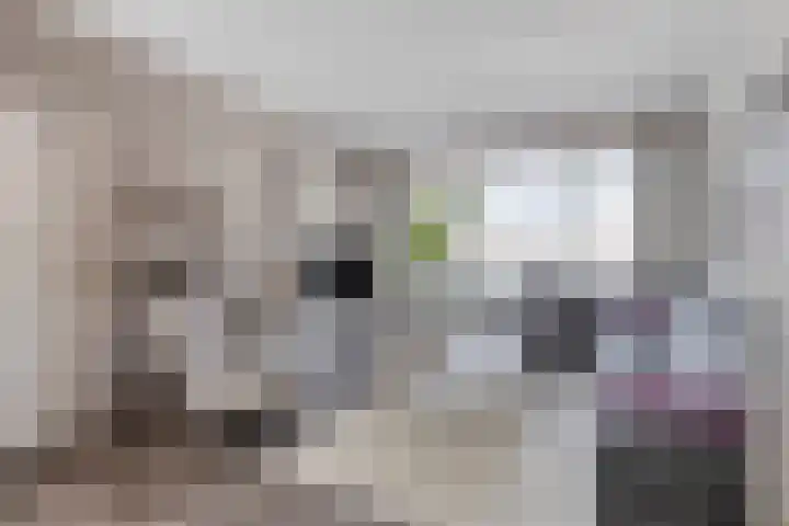 Koffiebos 3 Halsteren thumbnail 8