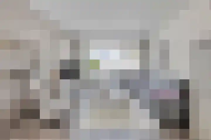 Koffiebos 3 Halsteren thumbnail 9