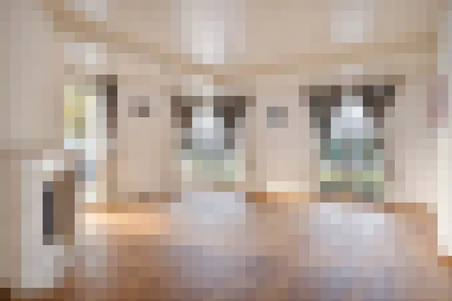 Koffiestraat 2 a Heeswijk-Dinther thumbnail 13