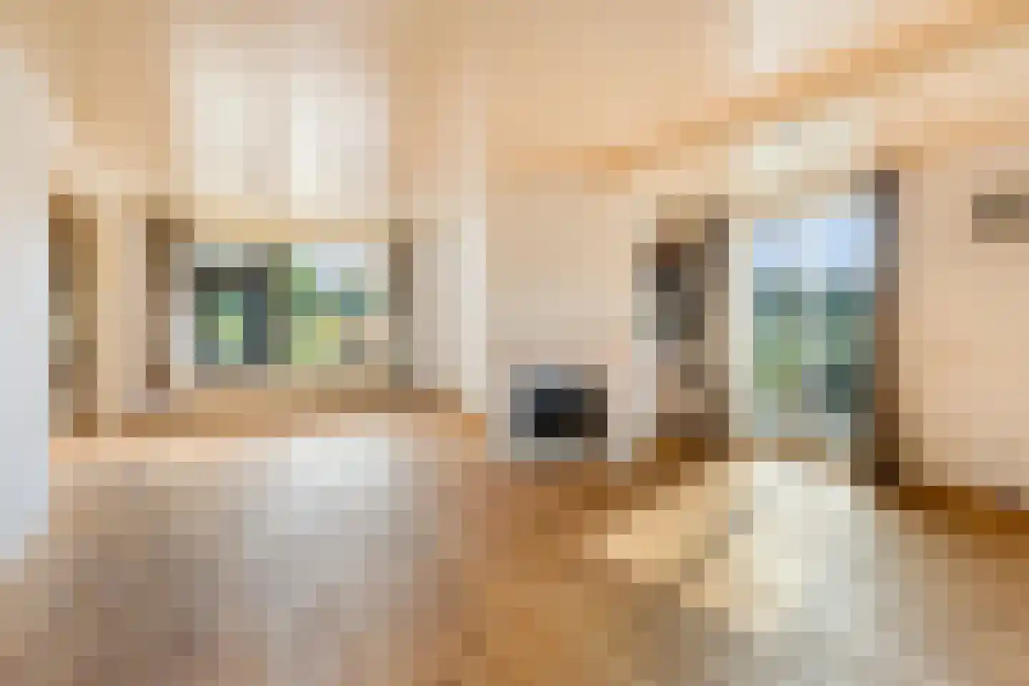 Koffiestraat 2 a Heeswijk-Dinther thumbnail 18
