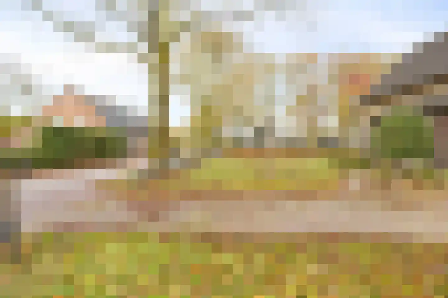 Koffiestraat 2 a Heeswijk-Dinther thumbnail 41