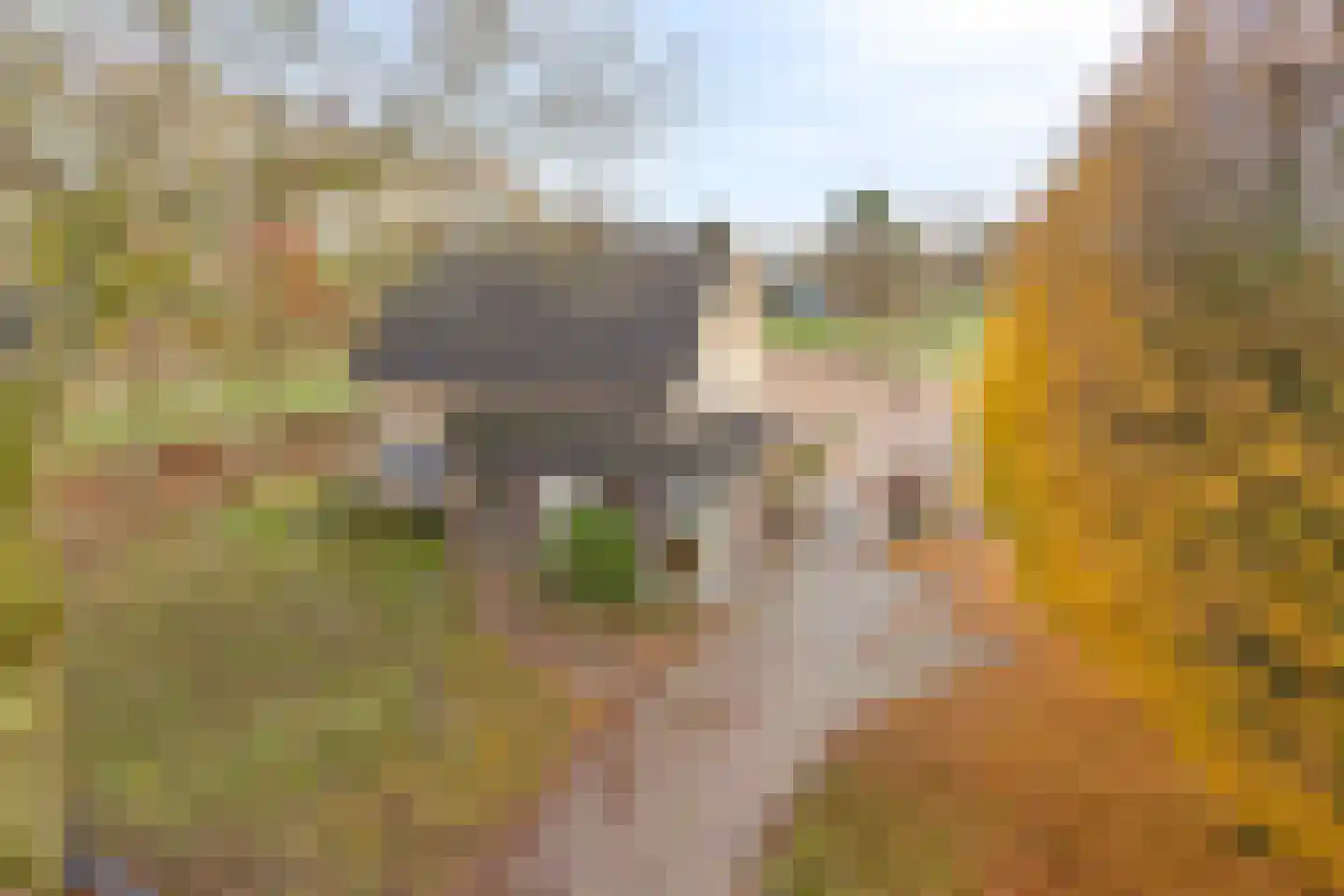 Koffiestraat 2 a Heeswijk-Dinther thumbnail 8
