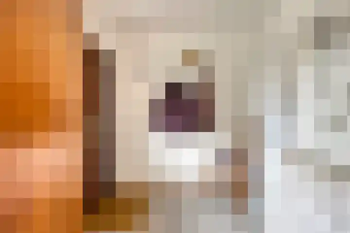 Koffiestraat 6 Eefde thumbnail 12