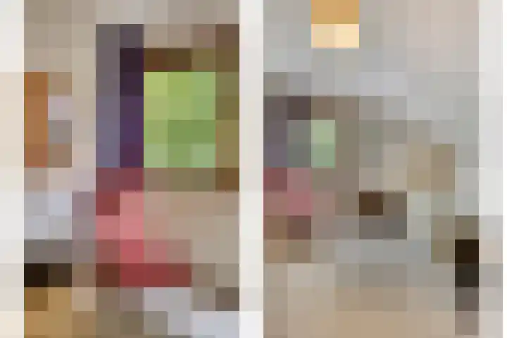 Koffiestraat 6 Eefde thumbnail 29