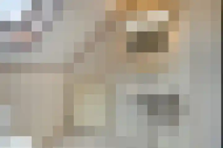 Koffiestraat 6 Eefde thumbnail 30