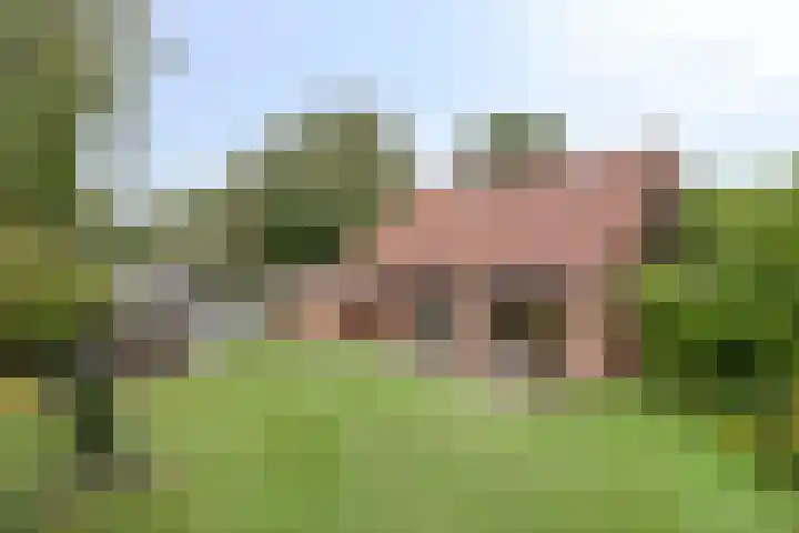 Koffiestraat 6 Eefde thumbnail 32